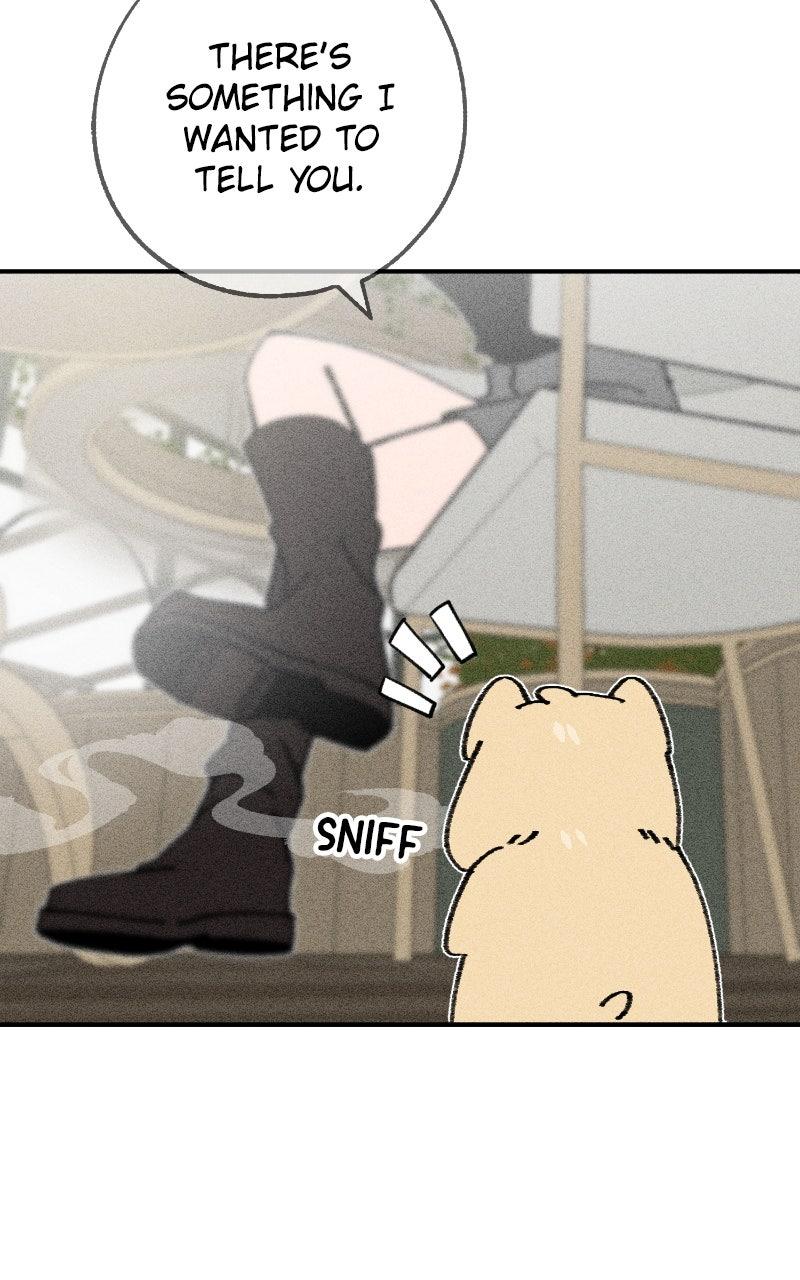 Devilish Son-In-Law Chap 51 - Next Chap 52