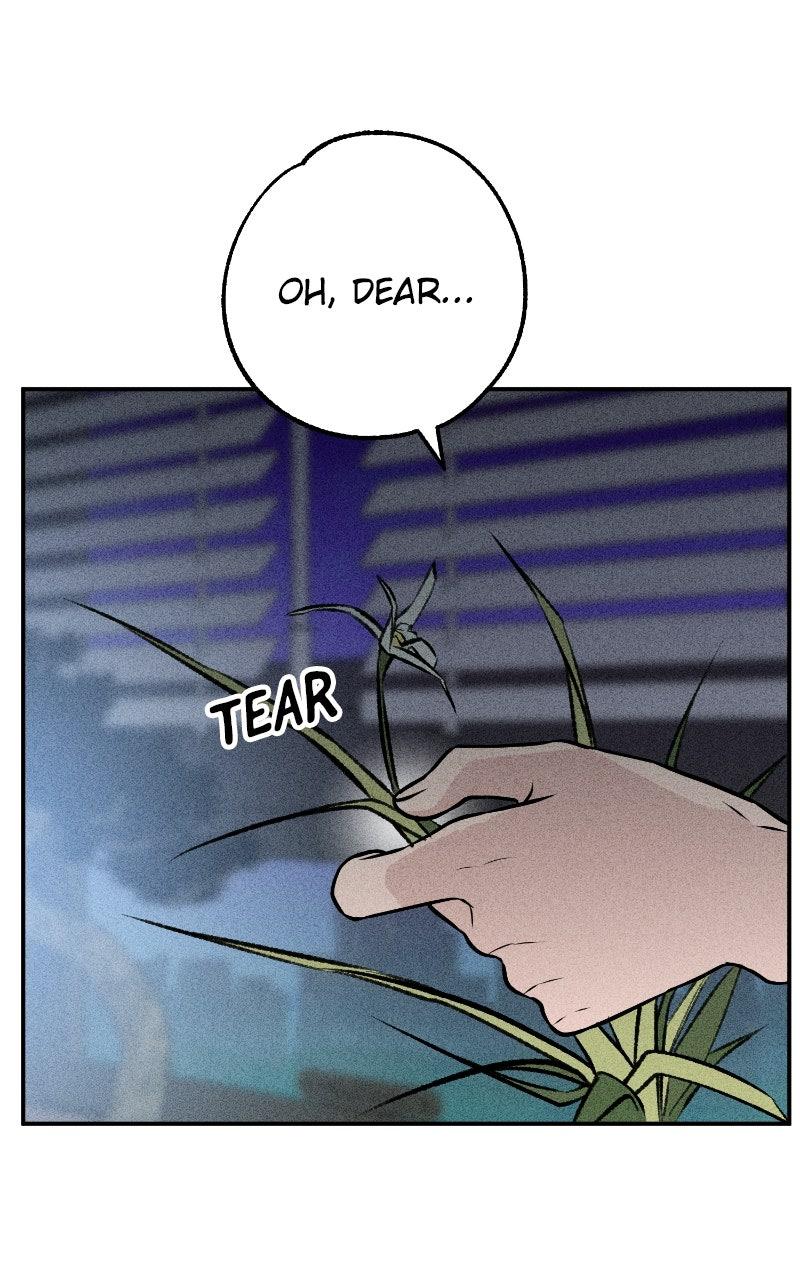 Devilish Son-In-Law Chap 52 - Next Chap 53