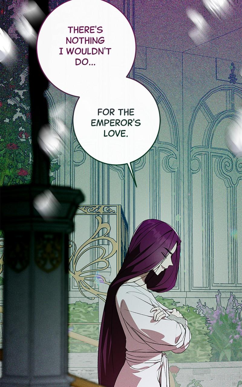 The Witch Doctor of Walpurgis Chap 7 - Next Chap 8