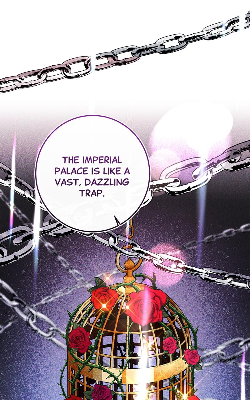 The Witch Doctor of Walpurgis Chap 7 - Next Chap 8