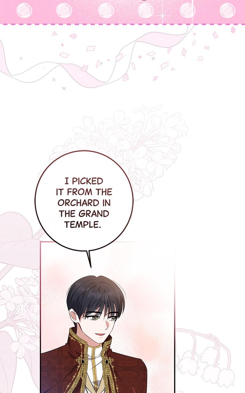 The Witch Doctor of Walpurgis Chap 7 - Next Chap 8