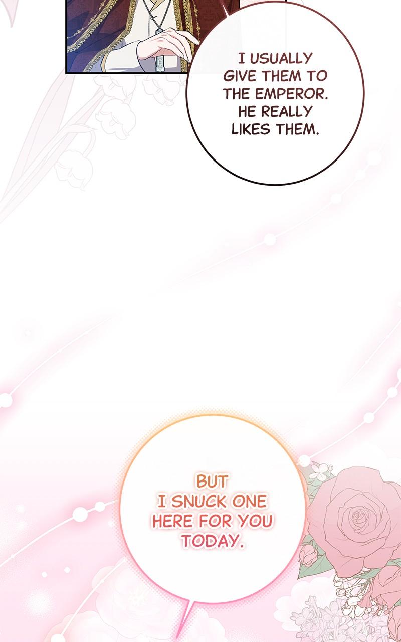 The Witch Doctor of Walpurgis Chap 7 - Next Chap 8