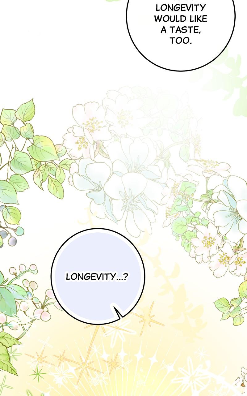 The Witch Doctor of Walpurgis Chap 7 - Next Chap 8