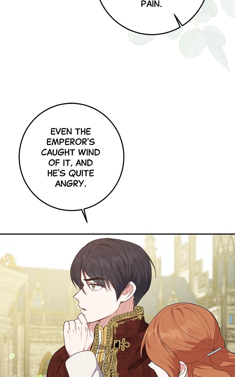 The Witch Doctor of Walpurgis Chap 7 - Next Chap 8