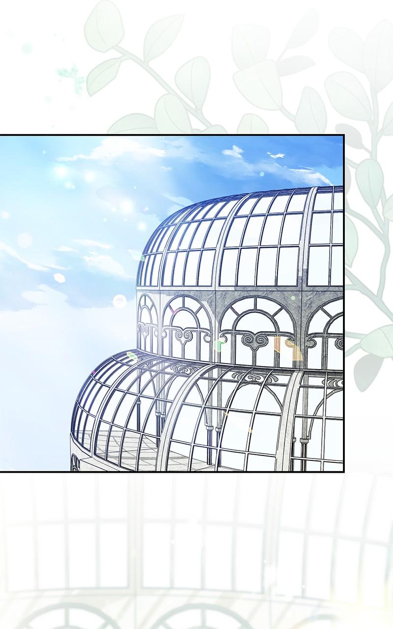 The Witch Doctor of Walpurgis Chap 6 - Next Chap 7