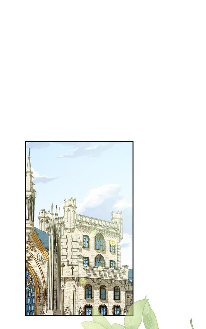 The Witch Doctor of Walpurgis Chap 6 - Next Chap 7