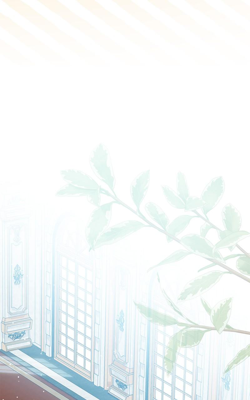 The Witch Doctor of Walpurgis Chap 8 - Next Chap 9