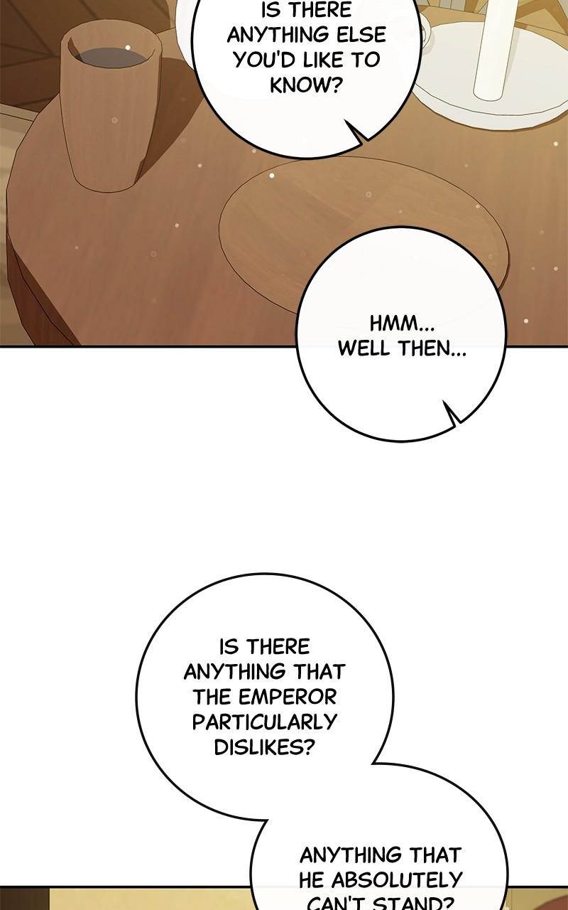 The Witch Doctor of Walpurgis Chap 9 - Next Chap 10