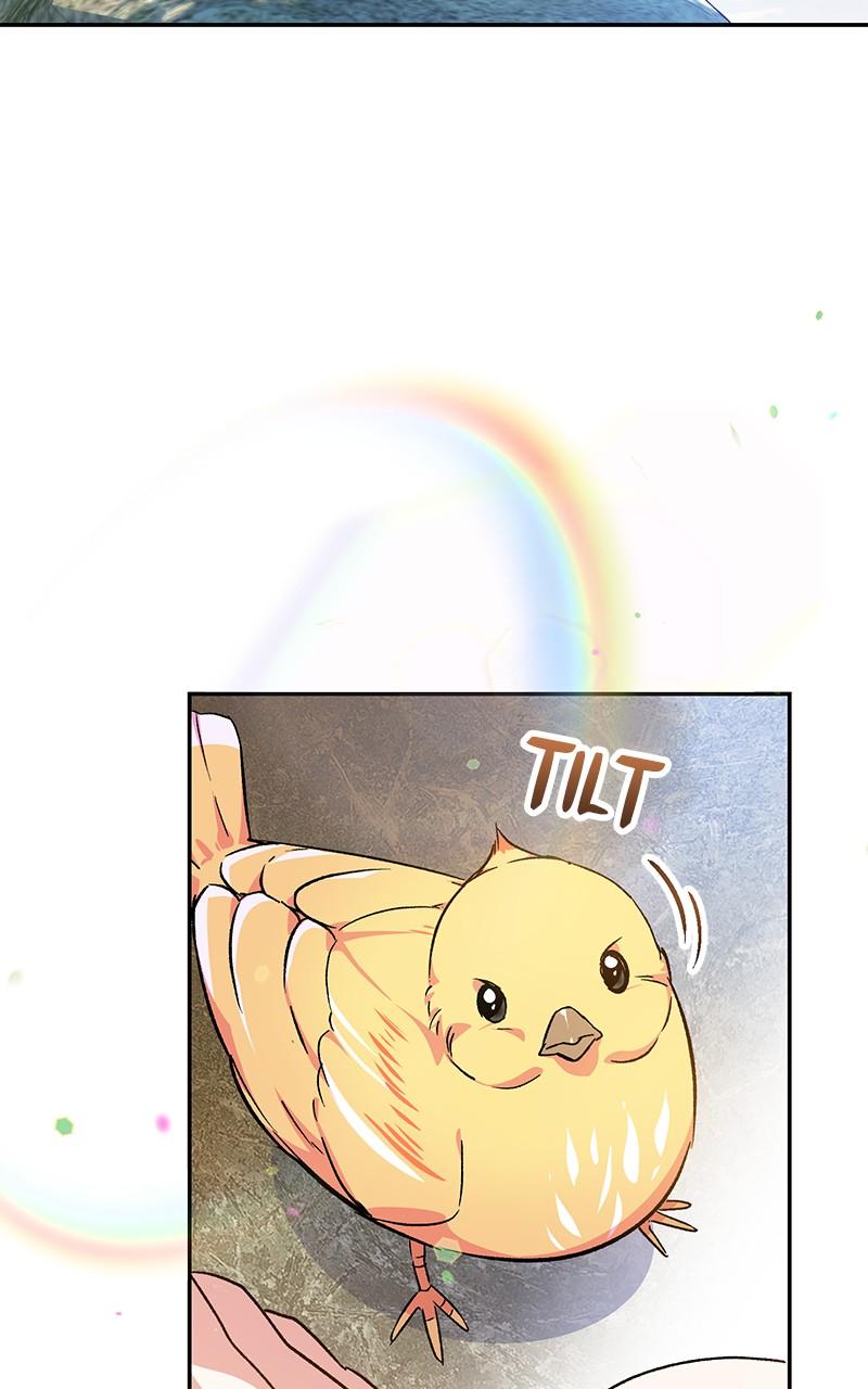 The Witch Doctor of Walpurgis Chap 1 - Next Chap 2