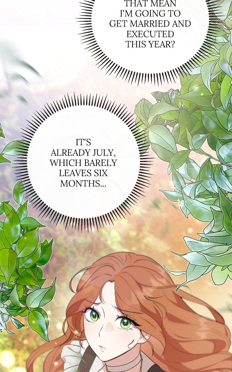 The Witch Doctor of Walpurgis Chap 1 - Next Chap 2