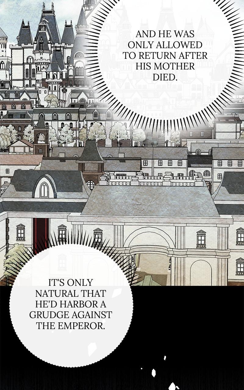 The Witch Doctor of Walpurgis Chap 2 - Next Chap 3