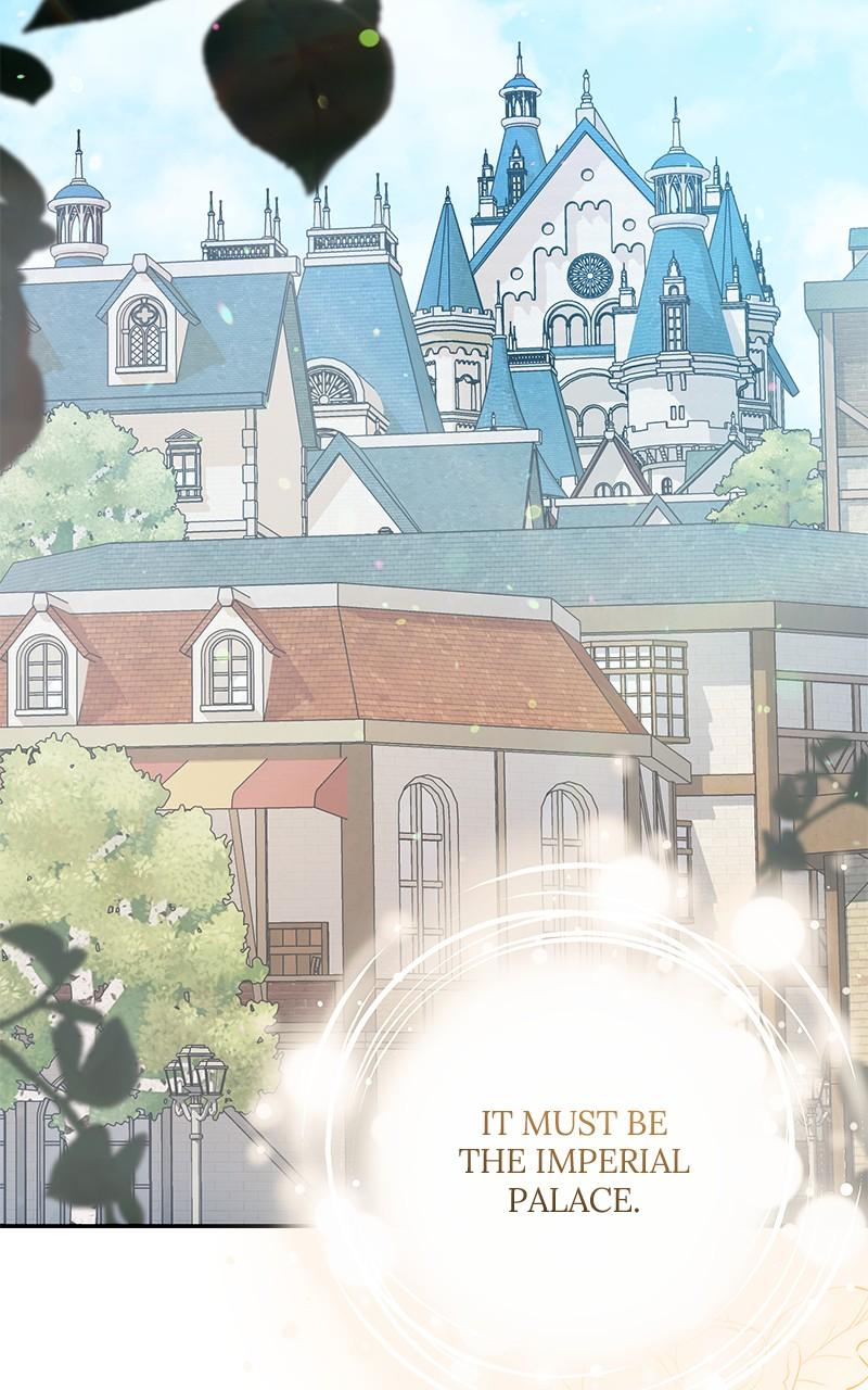 The Witch Doctor of Walpurgis Chap 2 - Next Chap 3