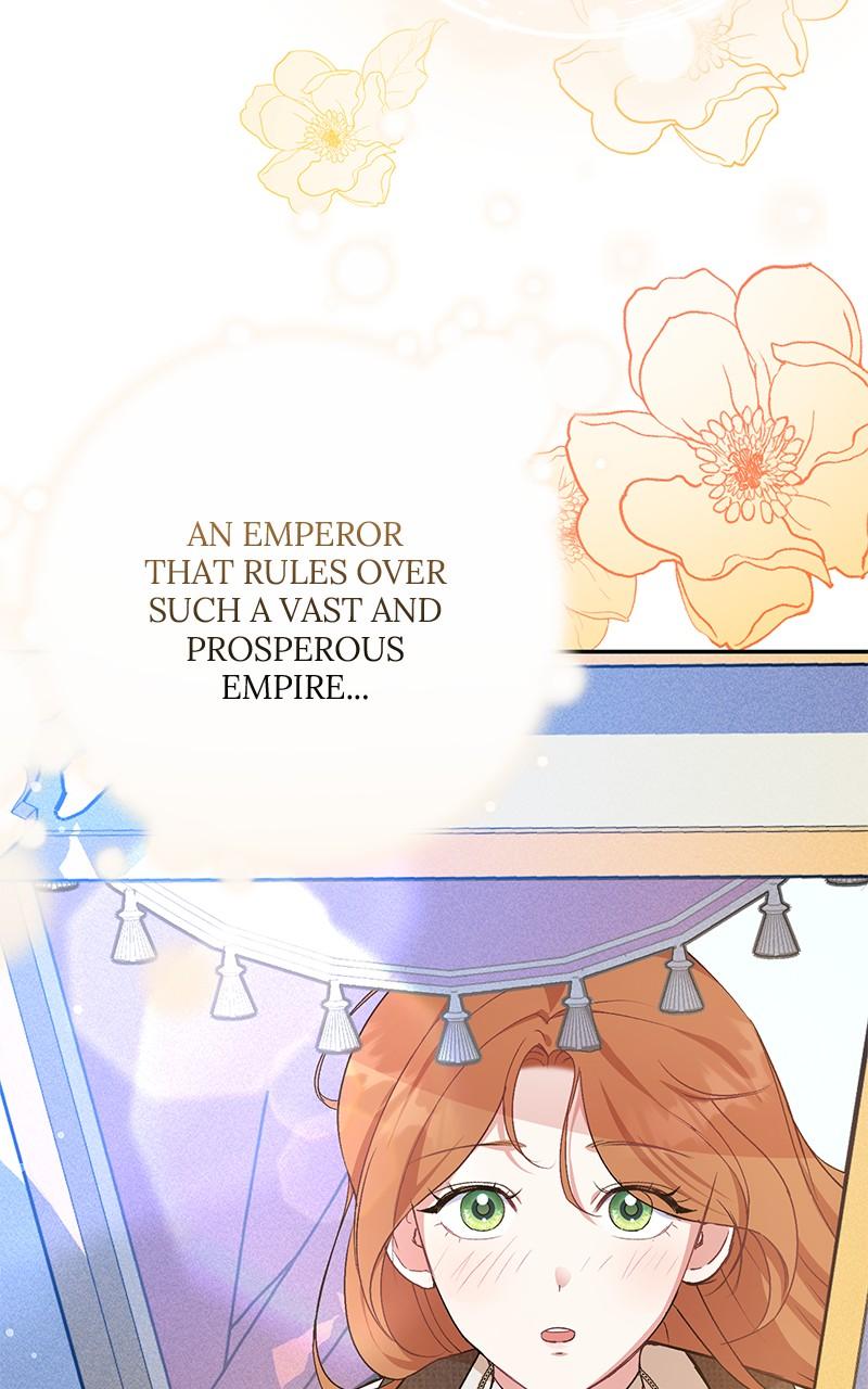 The Witch Doctor of Walpurgis Chap 2 - Next Chap 3