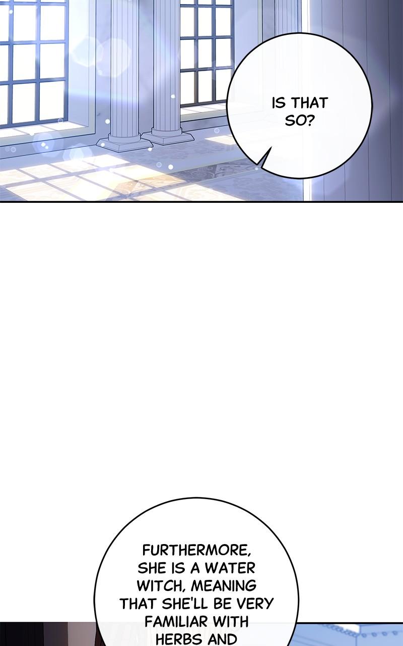 The Witch Doctor of Walpurgis Chap 2 - Next Chap 3