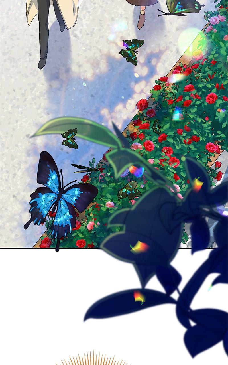 The Witch Doctor of Walpurgis Chap 3 - Next Chap 4