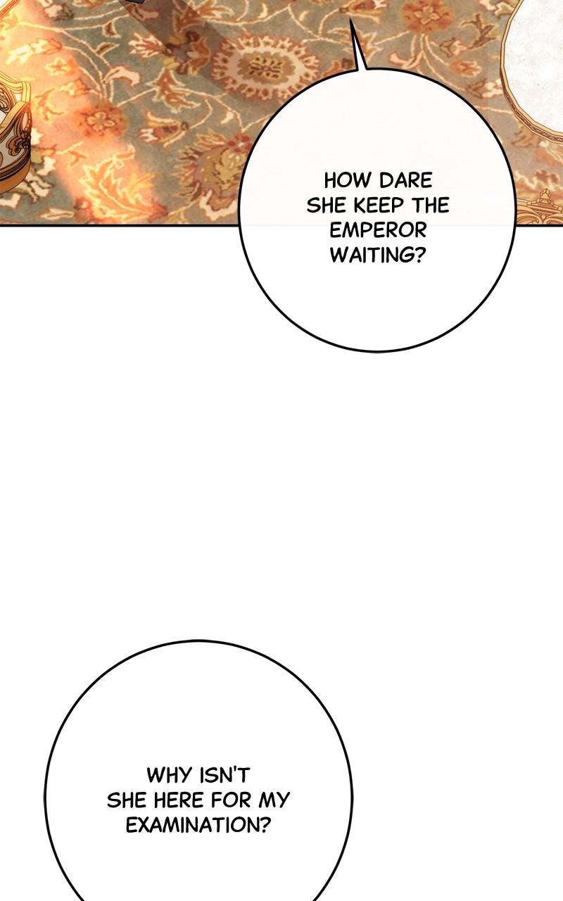 The Witch Doctor of Walpurgis Chap 17 - Next Chap 18