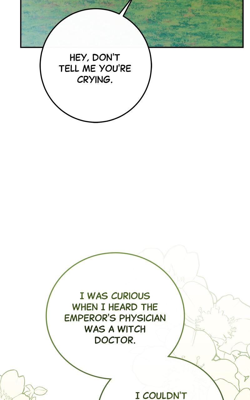 The Witch Doctor of Walpurgis Chap 14 - Next Chap 15