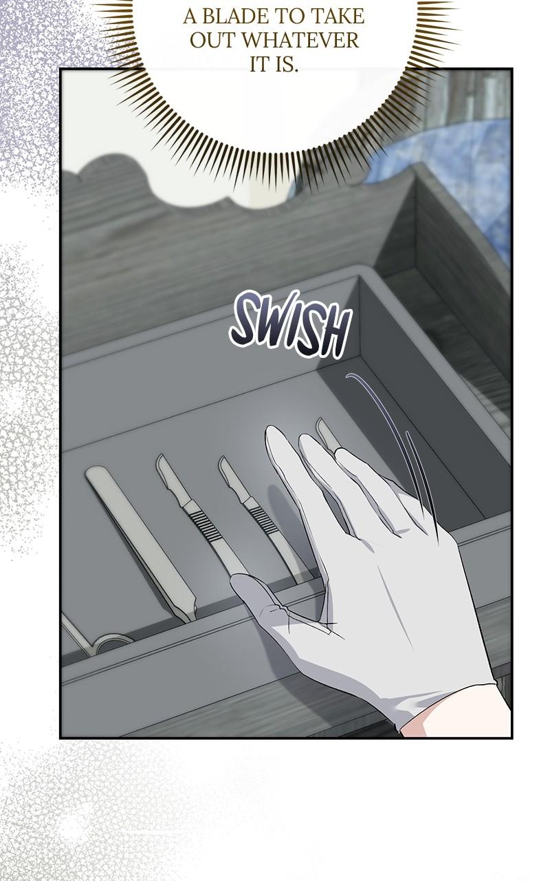 The Witch Doctor of Walpurgis Chap 14 - Next Chap 15