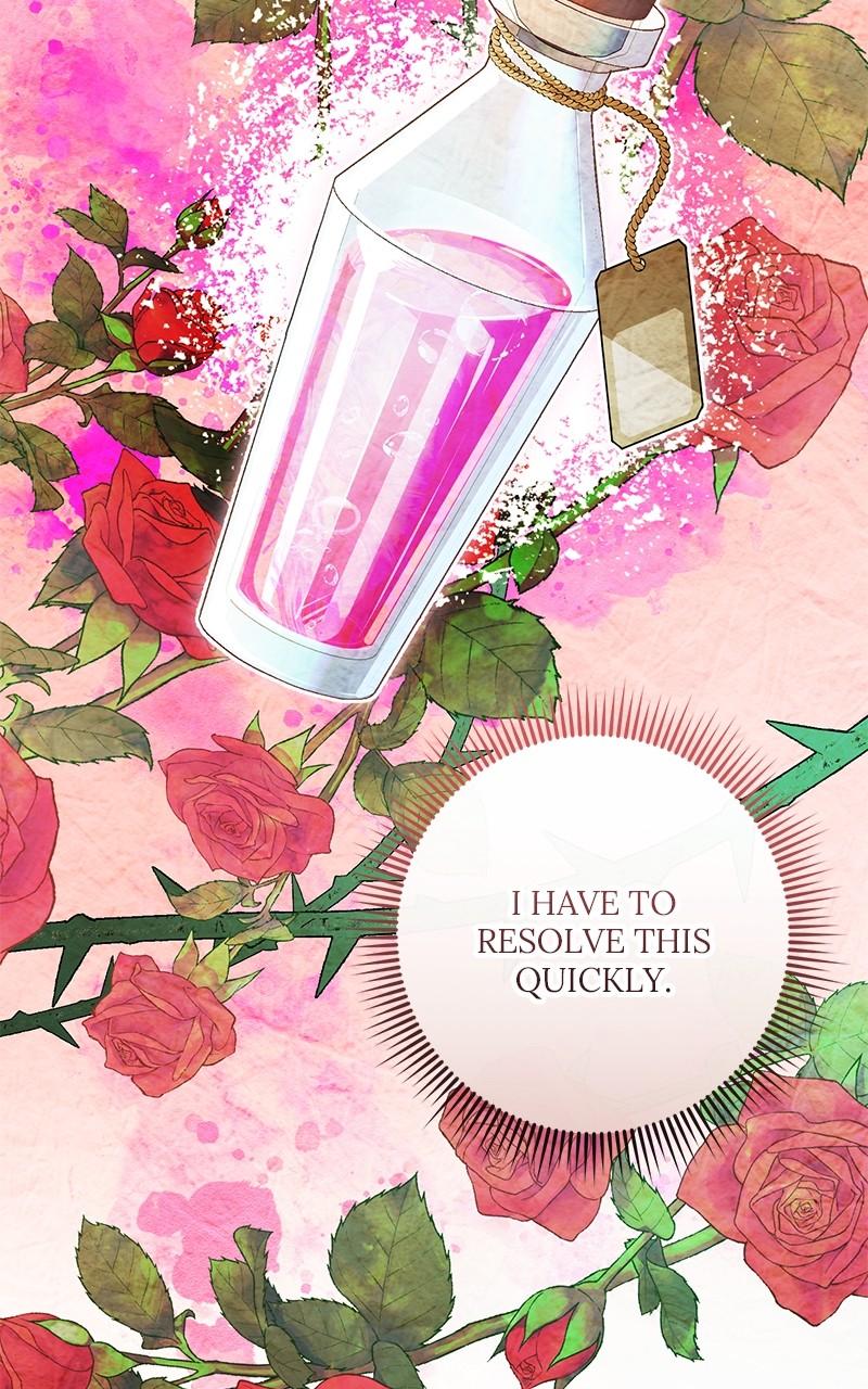 The Witch Doctor of Walpurgis Chap 15 - Next Chap 16