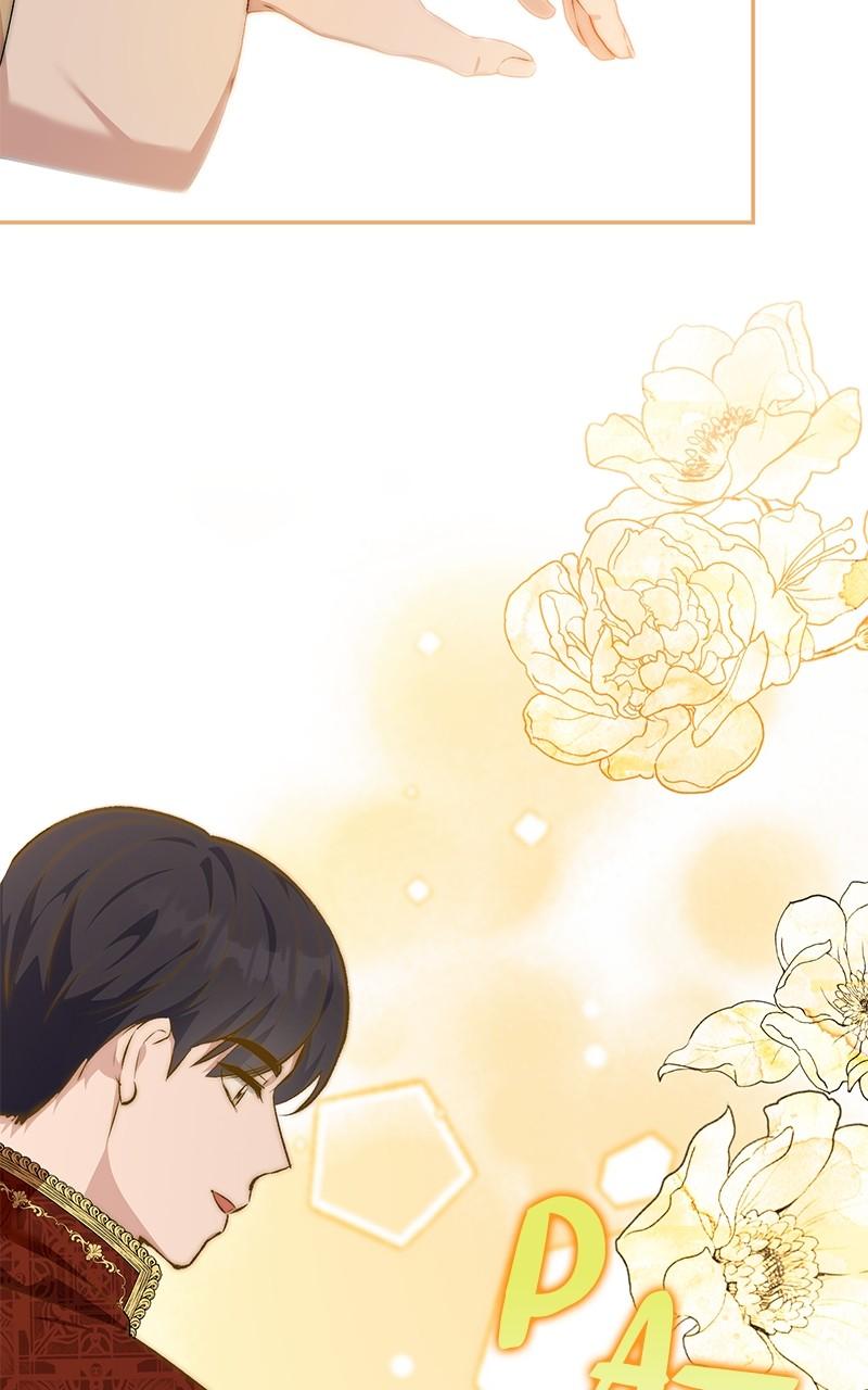 The Witch Doctor of Walpurgis Chap 16 - Next Chap 17