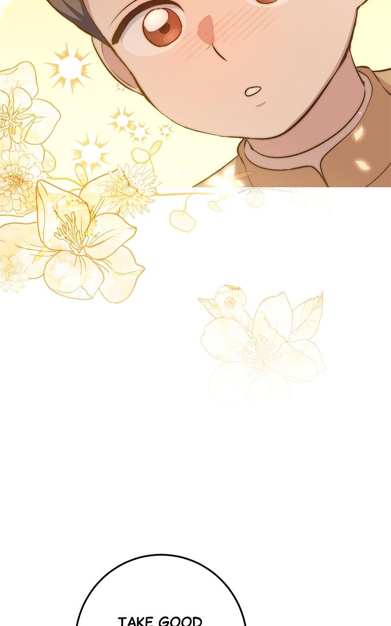 The Witch Doctor of Walpurgis Chap 16 - Next Chap 17