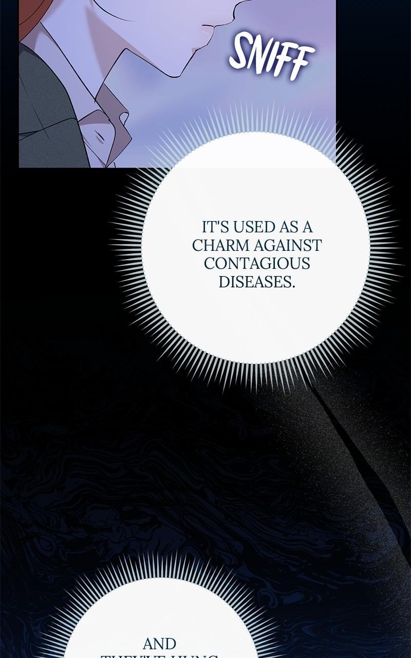 The Witch Doctor of Walpurgis Chap 18 - Next Chap 19