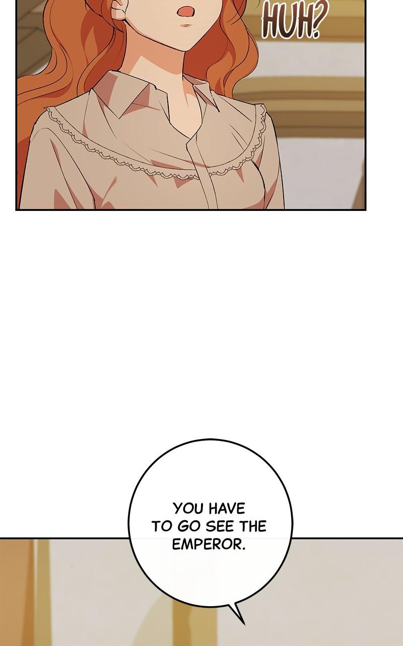 The Witch Doctor of Walpurgis Chap 19 - Next Chap 20