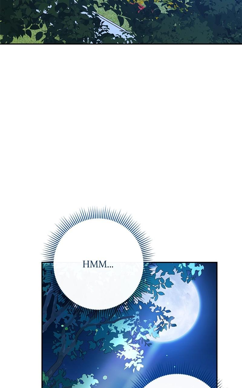 The Witch Doctor of Walpurgis Chap 10 - Next Chap 11