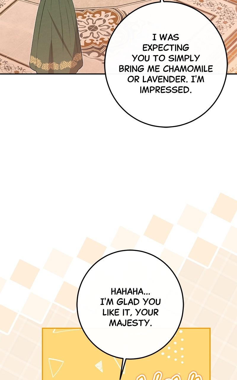The Witch Doctor of Walpurgis Chap 10 - Next Chap 11