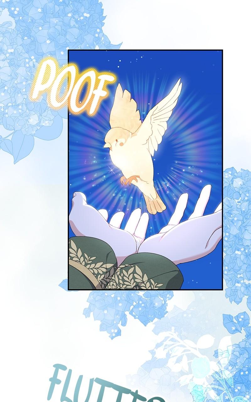 The Witch Doctor of Walpurgis Chap 11 - Next Chap 12