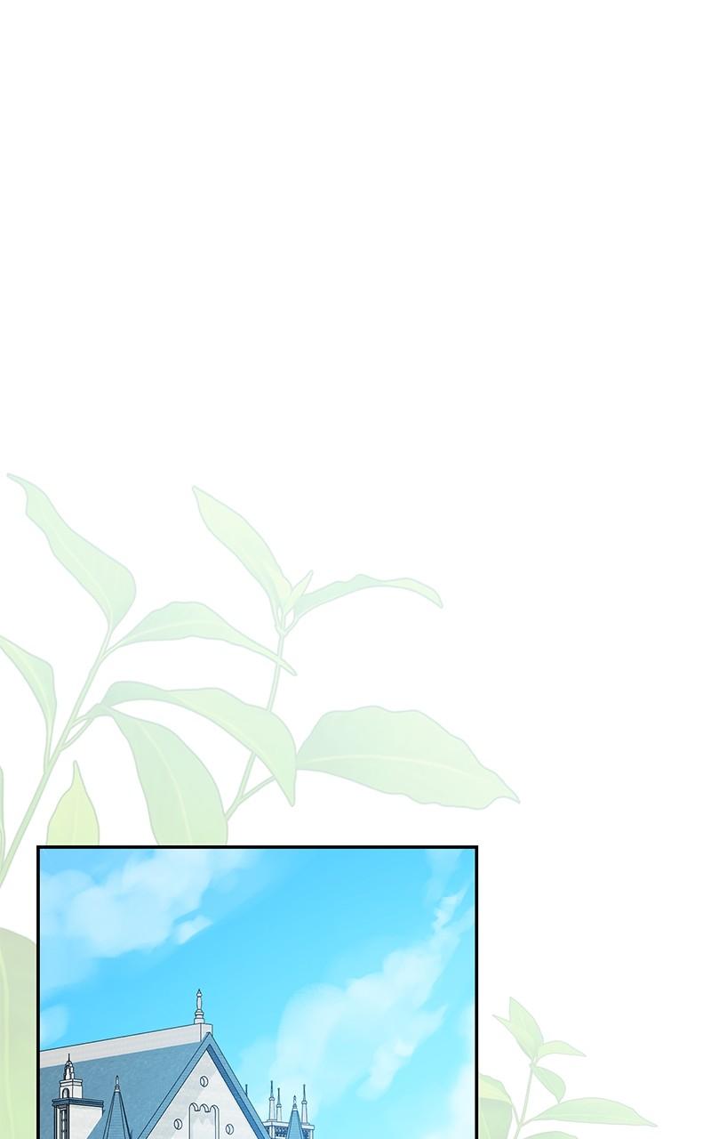 The Witch Doctor of Walpurgis Chap 12 - Next Chap 13