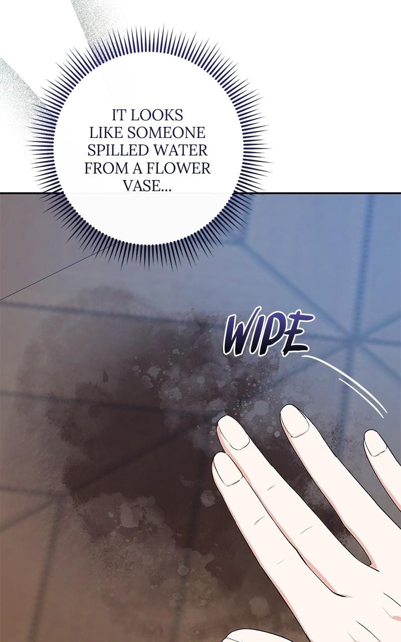 The Witch Doctor of Walpurgis Chap 12 - Next Chap 13