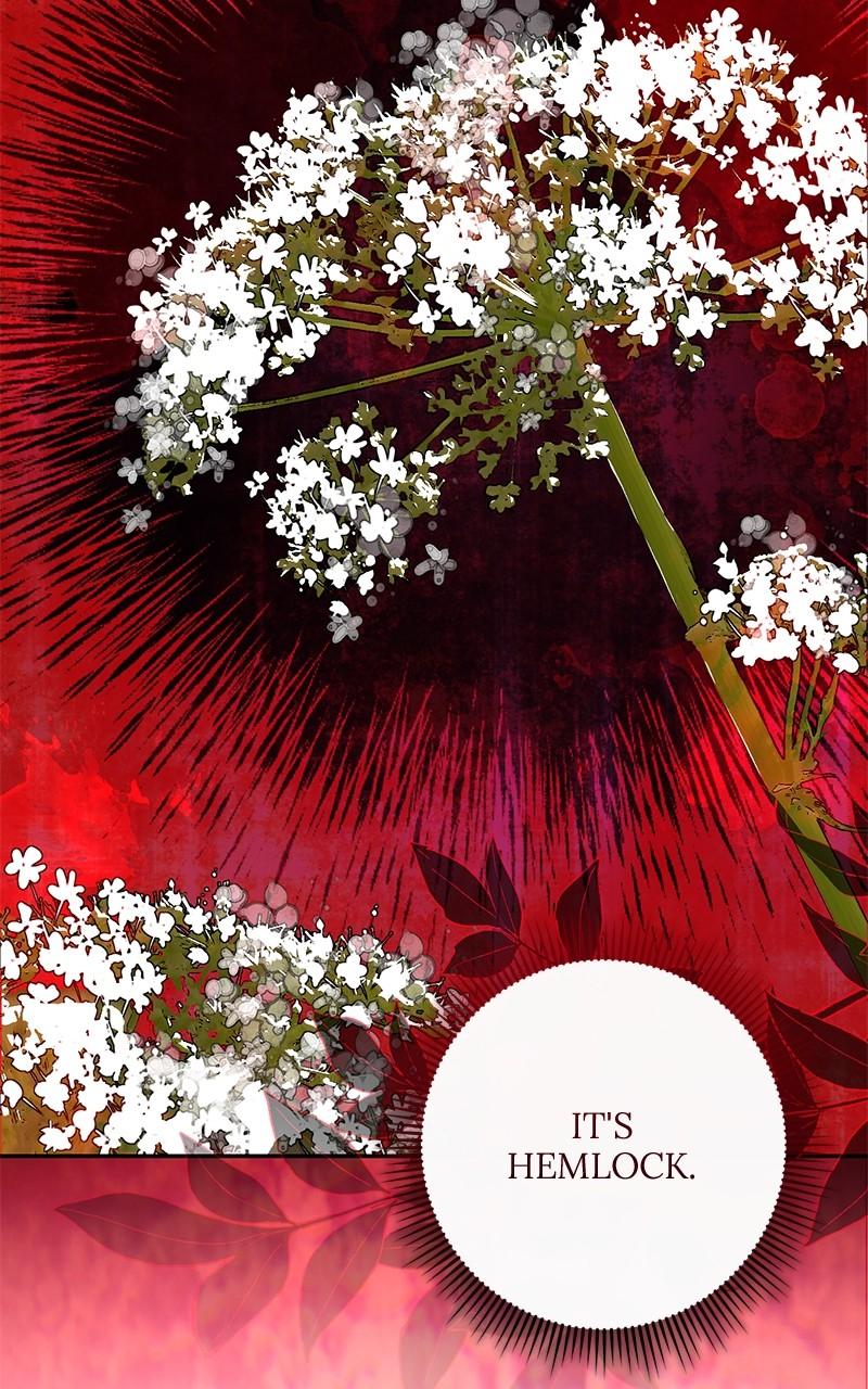 The Witch Doctor of Walpurgis Chap 12 - Next Chap 13