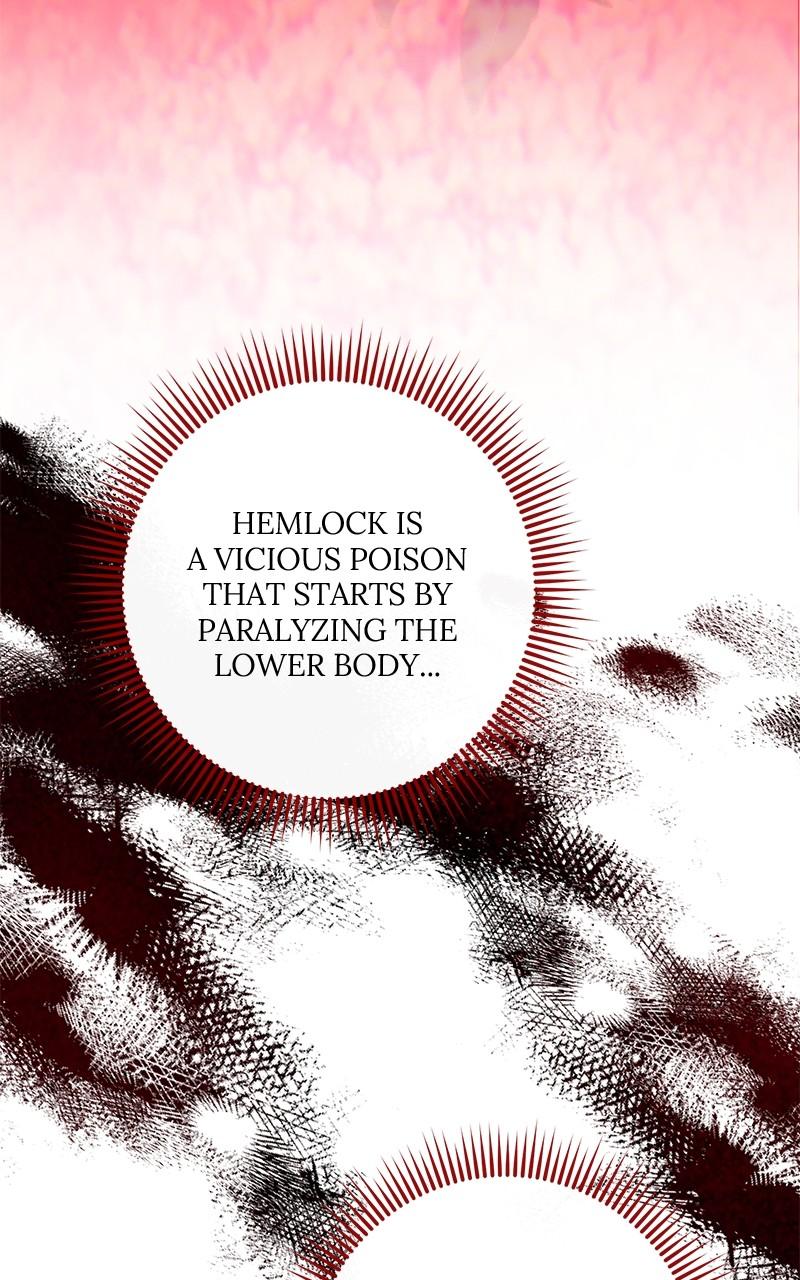 The Witch Doctor of Walpurgis Chap 12 - Next Chap 13