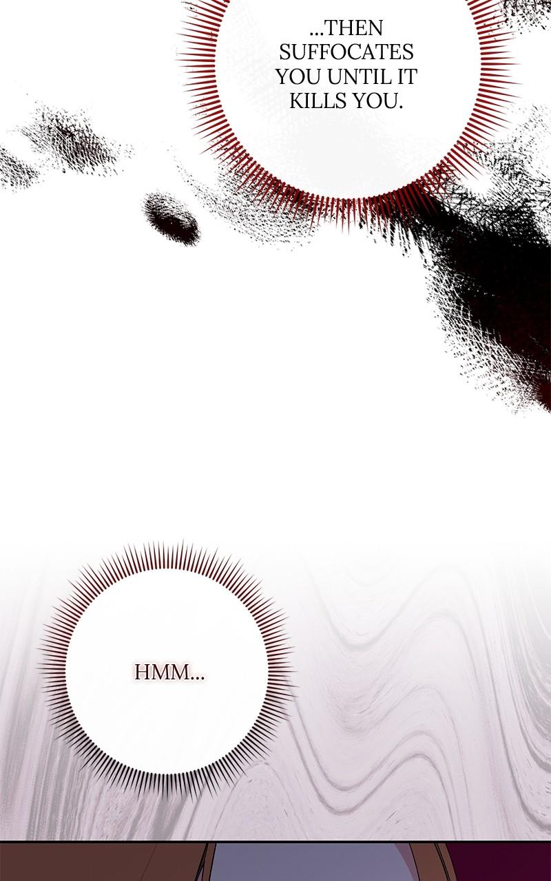 The Witch Doctor of Walpurgis Chap 12 - Next Chap 13