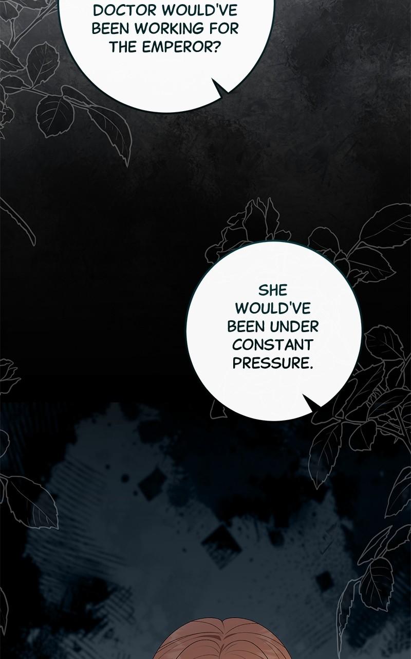 The Witch Doctor of Walpurgis Chap 13 - Next Chap 14