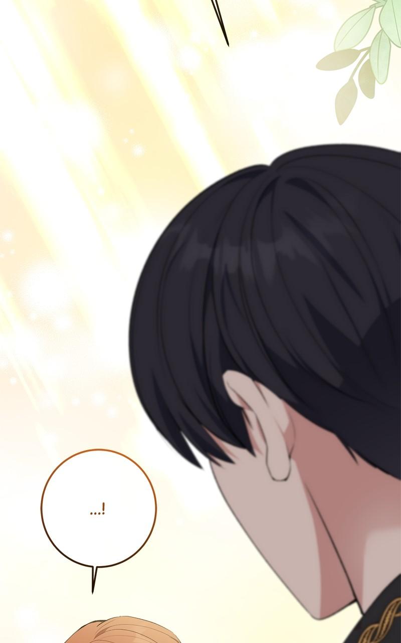 The Witch Doctor of Walpurgis Chap 13 - Next Chap 14