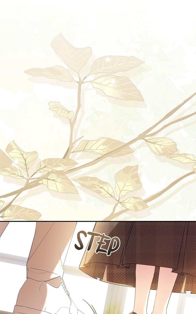 The Witch Doctor of Walpurgis Chap 24 - Next Chap 25