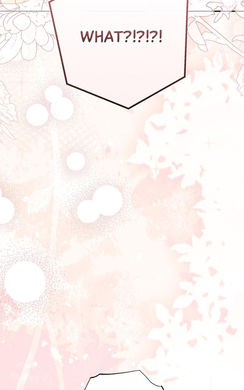 The Witch Doctor of Walpurgis Chap 24 - Next Chap 25