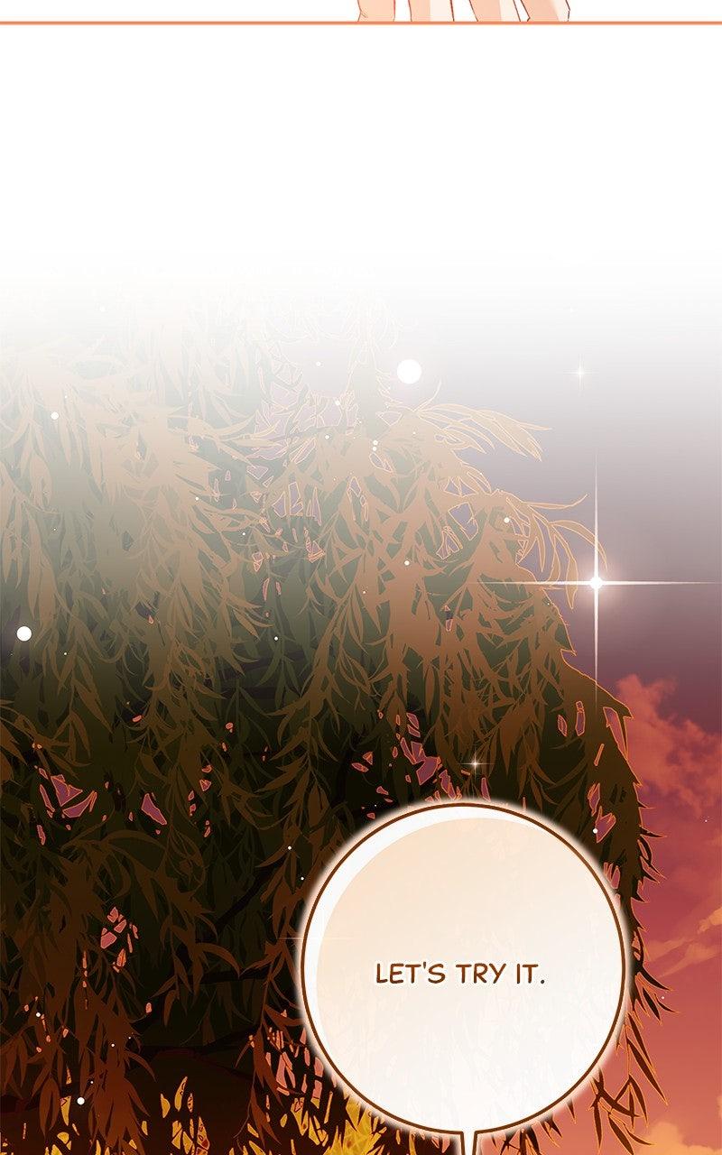 The Witch Doctor of Walpurgis Chap 25 - Next Chap 26