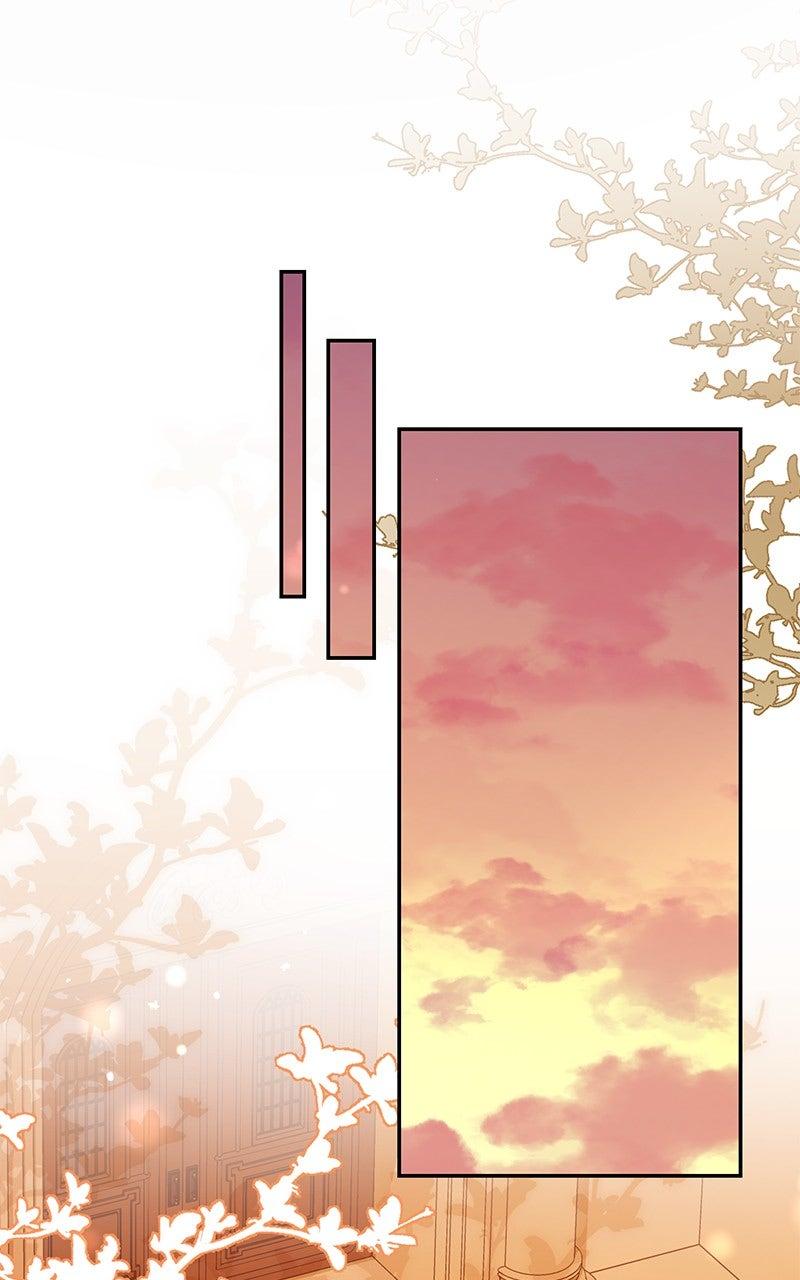 The Witch Doctor of Walpurgis Chap 25 - Next Chap 26