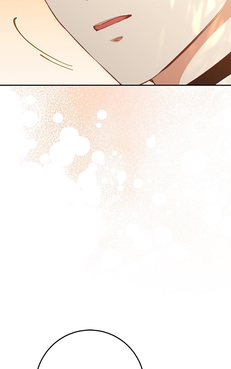 The Witch Doctor of Walpurgis Chap 26 - Next Chap 27