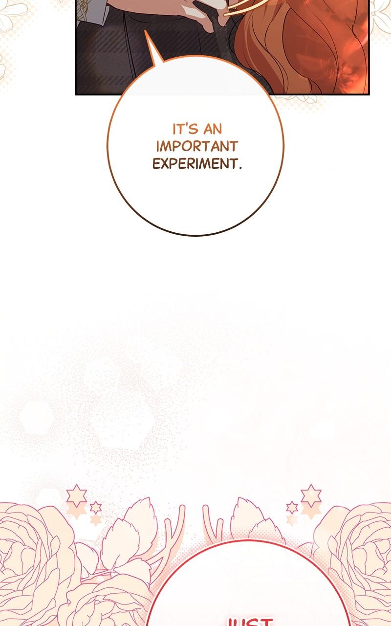 The Witch Doctor of Walpurgis Chap 26 - Next Chap 27