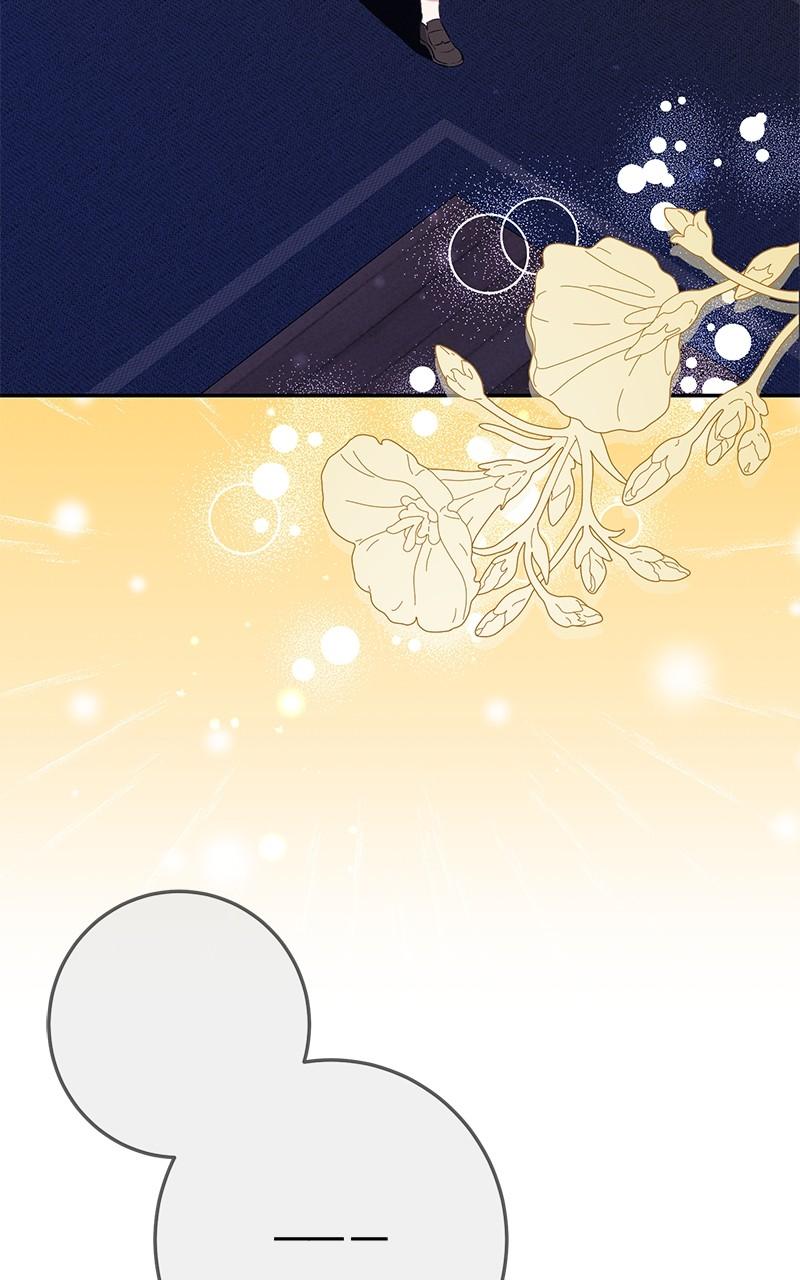 The Witch Doctor of Walpurgis Chap 26 - Next Chap 27