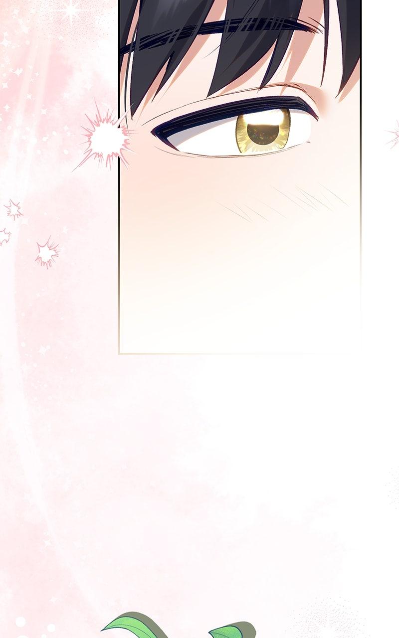 The Witch Doctor of Walpurgis Chap 28 - Next Chap 29