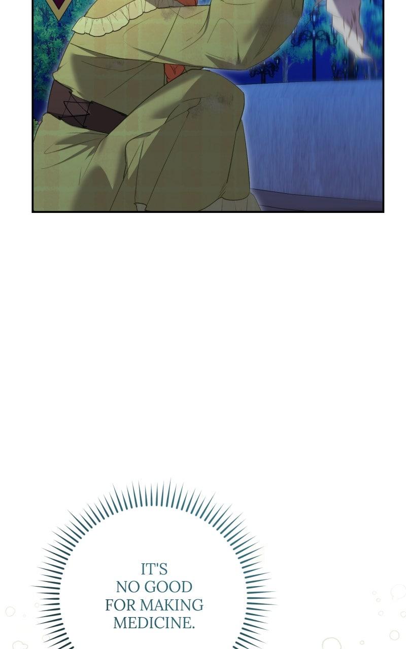 The Witch Doctor of Walpurgis Chap 29 - Next Chap 30