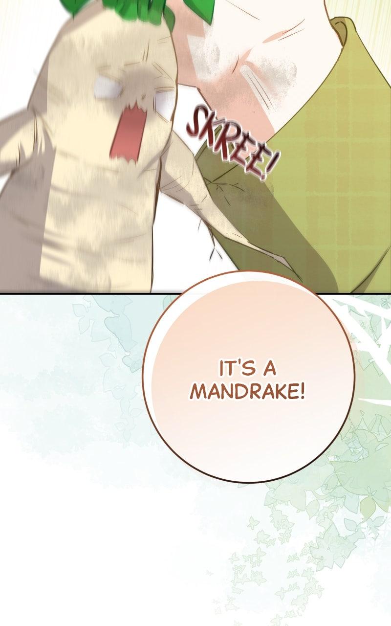 The Witch Doctor of Walpurgis Chap 29 - Next Chap 30
