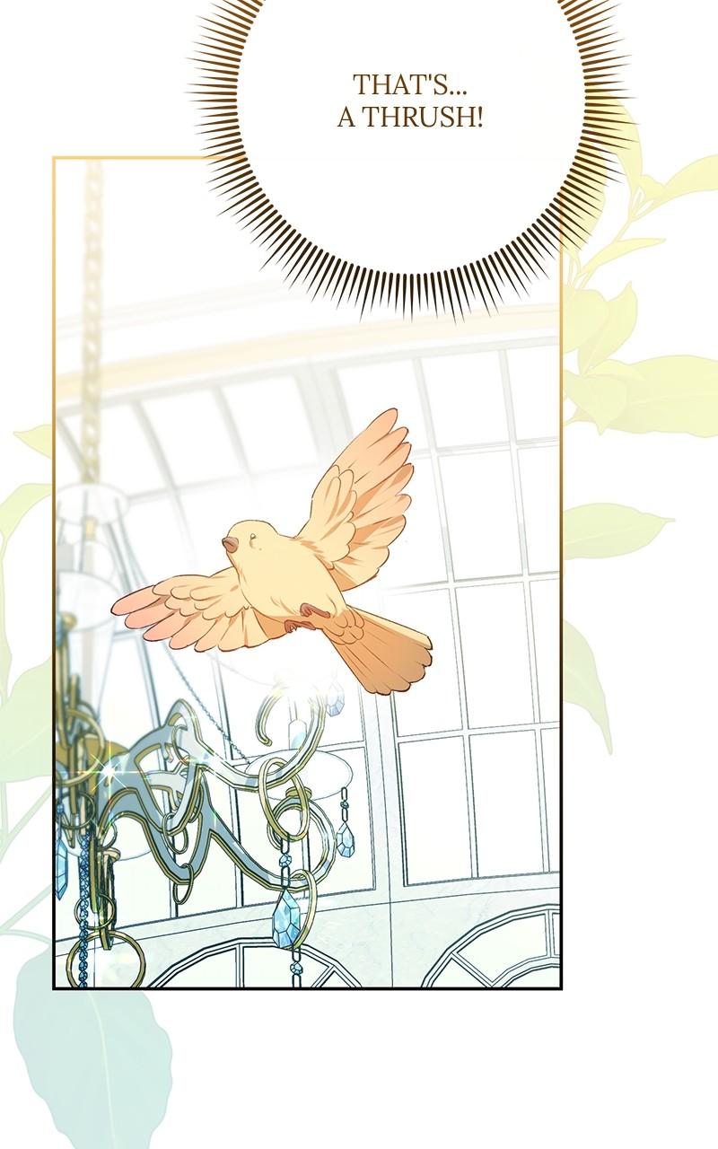 The Witch Doctor of Walpurgis Chap 22 - Next Chap 23