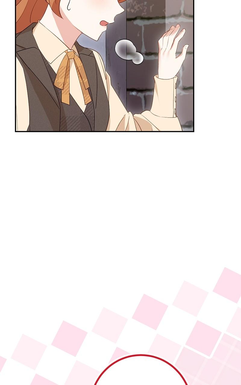 The Witch Doctor of Walpurgis Chap 23 - Next Chap 24