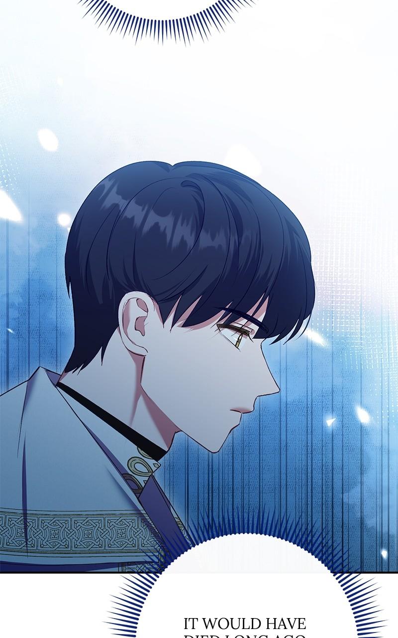 The Witch Doctor of Walpurgis Chap 23 - Next Chap 24